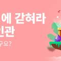 반딧불이씨앤씨 이미지