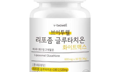 브이지에스 이미지