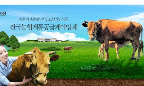 웰빙쇼핑몰 이미지