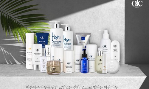 채이은 이미지