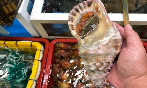나팔횟집 이미지