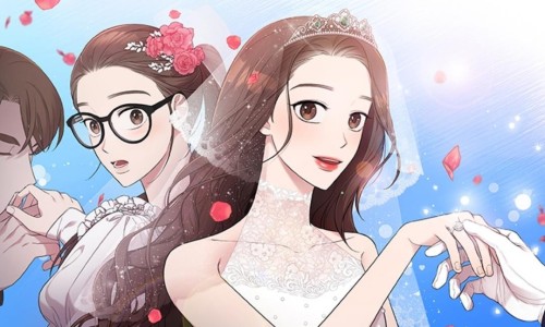 애니미디어 이미지