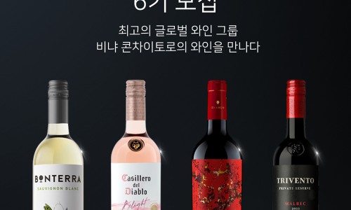 트리니타스 이미지