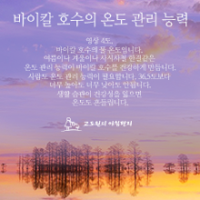 바이칼의아침 이미지