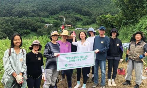 우프 이미지