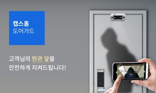 대한캡스 이미지