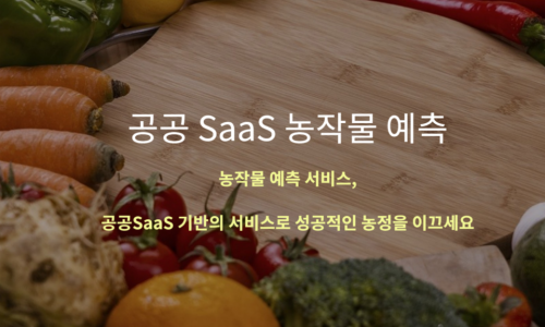 지디에스컨설팅 이미지