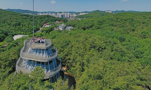 돈통마늘보쌈안양 이미지