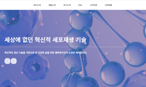 제이투케이인터내셔널 이미지