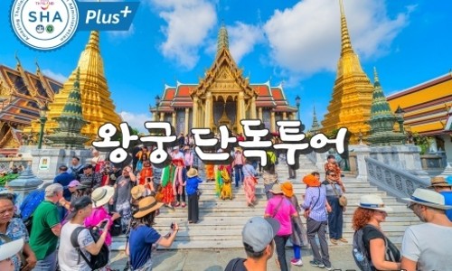 블루망고투어 이미지