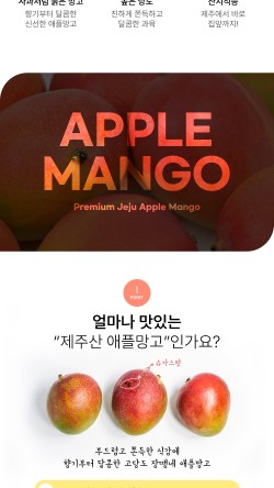 백록담제주특산품 이미지