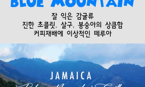 카페알트로 이미지