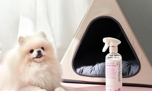 마이랩 이미지