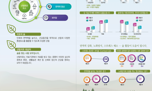 창원 편백치유의숲 유아숲체험원 이미지
