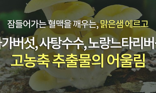 고려건강식품 이미지
