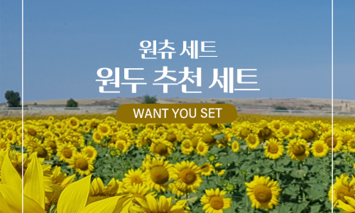 치즈플라워 이미지