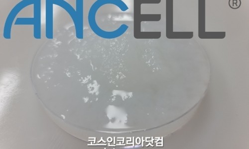 에이엔셀바이오 이미지