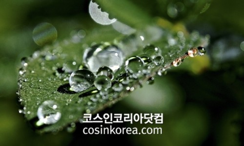 (주)케이엠케어 이미지