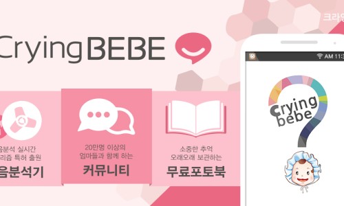 썬풀라워 이미지