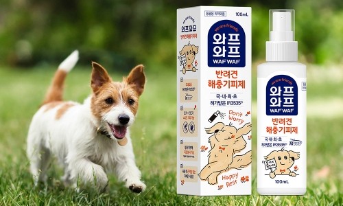와프 이미지
