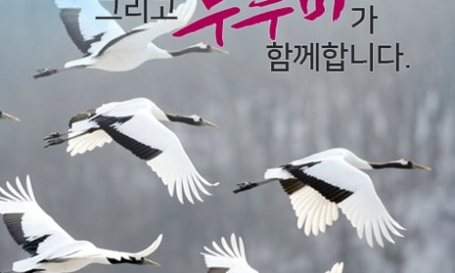 철원전통장류 이미지