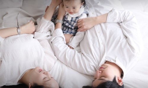 북극곰스튜디오 이미지