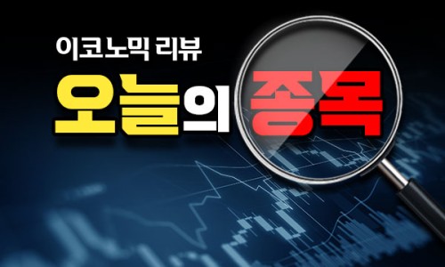 (주)에프에스티 이미지
