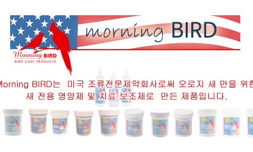 모닝버드 이미지