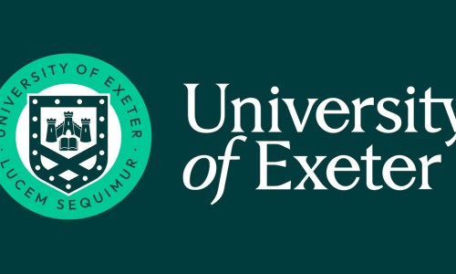 MSc International Business (Online) | Online degrees and courses | University of Exeter