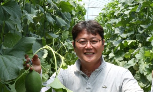 농업회사법인(주)더드림 이미지