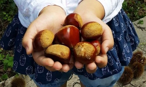 지리산농부마을 이미지