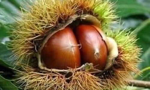 지리산농부마을 이미지