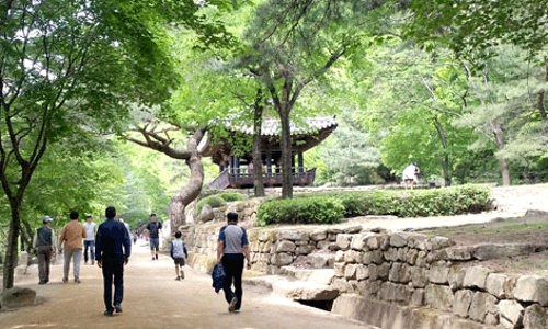 문경새재푸드 이미지