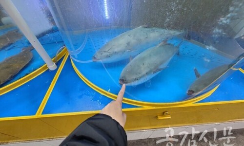 신기종합어시장회포장 이미지
