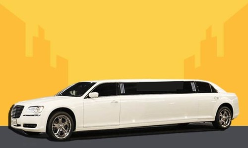 VIP 리무진투어 이미지
