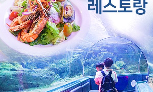 플레이월드 레스토랑 이미지