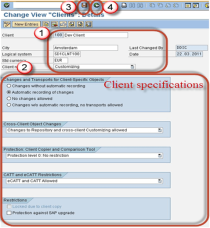 [SAP BC 가이드 05-2]How to Create a New Client in SAP SCC4 [Create New ...