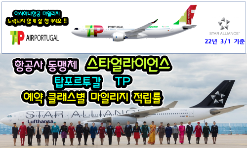 탑얼라이언스 이미지