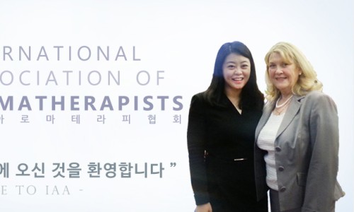 톡톡아로마테라피 이미지