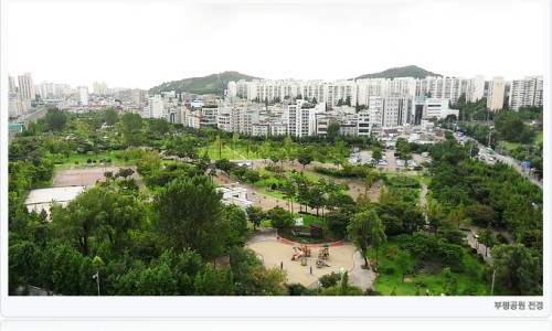 김볶스 이미지