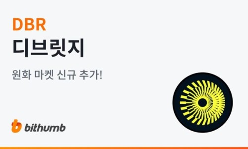 디브리지 이미지