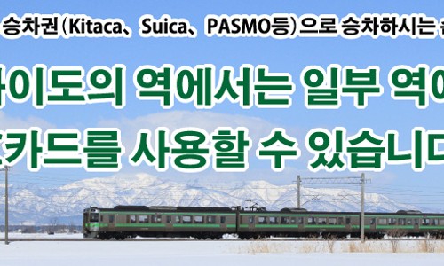 주식회사 마이리얼트립 이미지