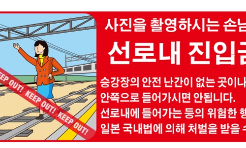 주식회사 마이리얼트립 이미지