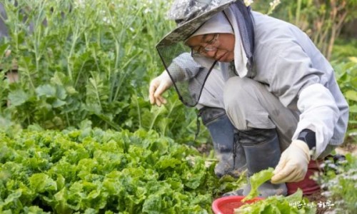 (주)정진환경 이미지