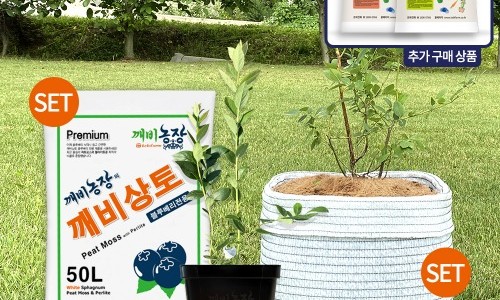 법인깨비농장 이미지