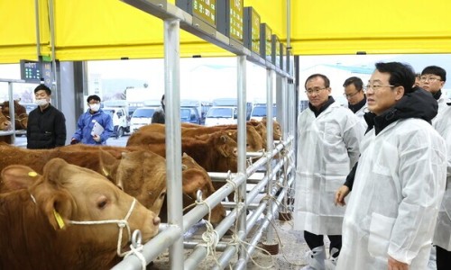 강진완도축산업협동조합 이미지