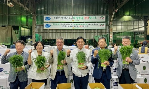 가락동농산물 이미지