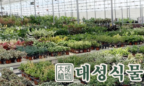 대성가든 이미지