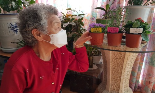 한국식물병원 이미지