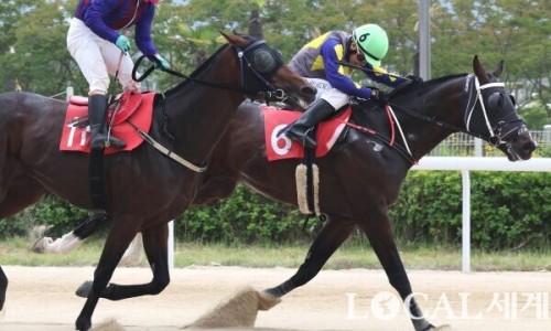 투혼글로벌 이미지